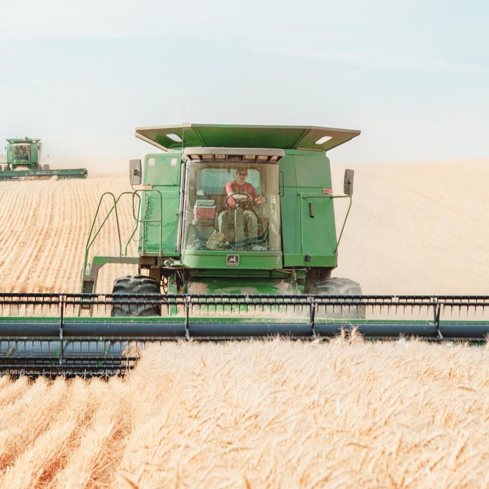 Agriculture
 Industry